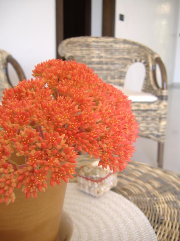 B&B Corallo Capilungo Ngoại thất bức ảnh